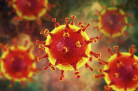 新冠病毒新变种XE，后疫情时代下的商标发展