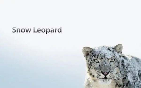 苹果公司注册的新商标“SNOW LEOPARD”被驳回，因与雪豹商标近似