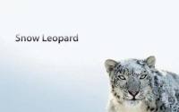 苹果公司注册的新商标“SNOW LEOPARD”被驳回，因与雪豹商标近似..