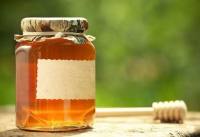 蜂蜜商标转让的类别属于哪一类？