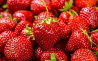 草莓商标转让的类别如何来选择比较合适呢？