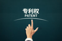 专利权公司可以是多个公司吗