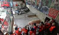 “猪坚强”被抢注商标，建川博物馆表示不在意